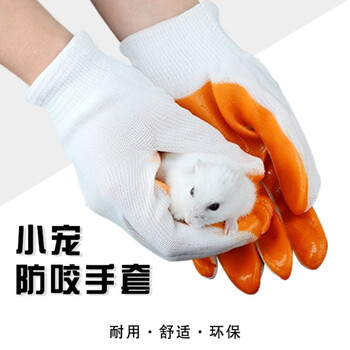 防咬手套 宠物防咬手套 仓鼠防咬手套鼠鼠防啃手抓仓鼠金丝熊荷兰猪