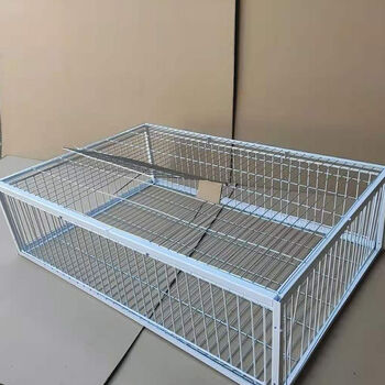 天落笼信鸽只进不出加密抓鸽子笼斑鸠捕鸽神器野外全自动活络门 加密