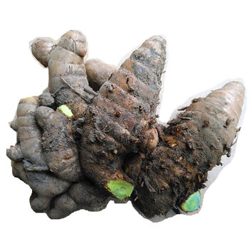 爵妃 新鲜乌姜 黑心姜 蓝姜新鲜蔬菜 送礼佳品 500g