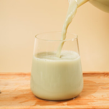 维维东北黑豆豆浆粉500g/袋营养早餐冲饮燕麦搭档 维维东北黑豆豆浆粉500g/袋营养早餐冲饮燕麦搭档