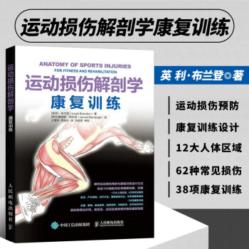 运动损伤解剖学 康复训练 运动损伤理疗康复训练书籍 常见运动损伤康复锻炼方法 运动系统预防治疗修复 精准拉伸健身书 pdf格式下载