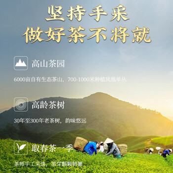 传奇会乌龙茶凤凰单枞蜜兰香特级250g茶叶2026新茶礼盒装父亲节礼物