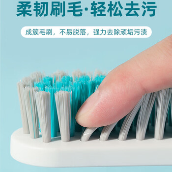 茶花鞋刷子长柄硬毛家用多功能洗鞋清洁刷洗衣刷不伤鞋塑料小刷子