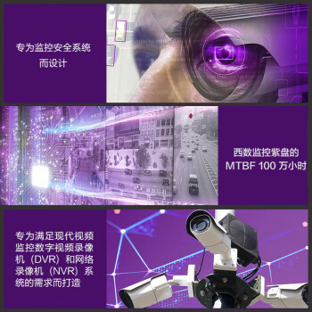 西部数据 监控级硬盘 WD Purple 西数紫盘 2TB CMR垂直 64MB SATA (WD23PURZ)