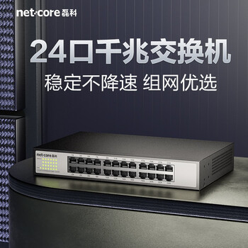 磊科（netcore）S24G 24口千兆交换机 网线分流器 工程高清监控网络分线器 企业级交换机 稳定高速传输