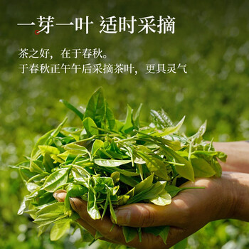 传奇会乌龙茶 安溪铁观音 浓香型特级250g茶叶2026新茶礼盒装自己喝送礼