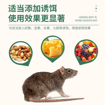 绿叶粘鼠板 薄板捕鼠工具粘老鼠贴灭鼠板老鼠粘板40片装GL02113