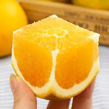 果迎鲜湖南冰糖橙 脐橙 5斤装 新鲜水果 橙子 55-60mm 冰糖橙是小品种