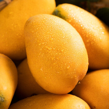 海南小台农芒果5斤新鲜小台芒应当季水果现摘热带芒果整箱 中果 2斤