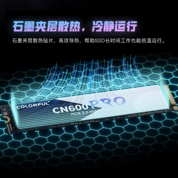 七彩虹（Colorful）256GB SSD固态硬盘 M.2接口(NVMe协议) CN600 PRO系列PCIe 3.0 x4 TLC颗粒