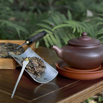 政和白茶有机政和白茶寿眉350g 5年紧压茶饼 高山茶围炉煮茶