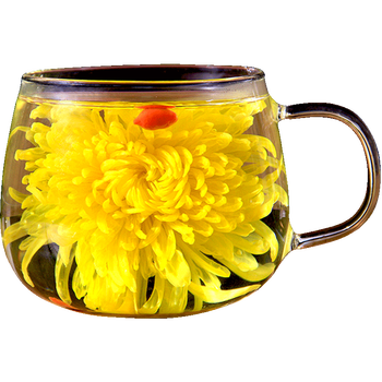 菊花茶金丝皇菊黄菊一朵一杯花茶特大朵菊花胎菊贡菊茶叶盒装精选100