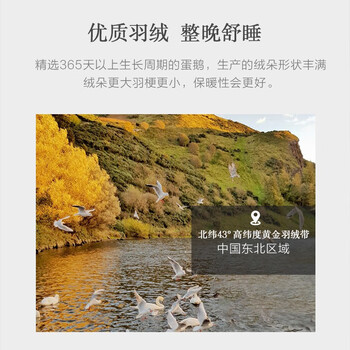 罗莱W二合一至享鹅绒被新一代羽绒被真实使用感受,真相揭秘入手感受