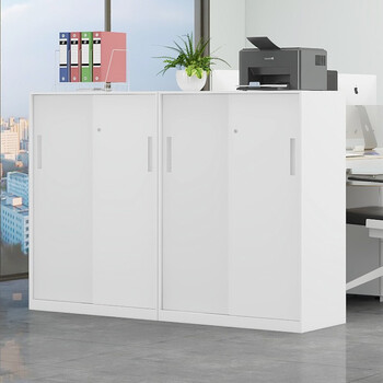 洛克菲勒加厚钢制薄边文件柜档案资料柜白色钥匙锁铁移门高1090宽800深400 洛克菲勒加厚钢制薄边文件柜档案资料柜白色钥匙锁铁移门高1090宽800深400