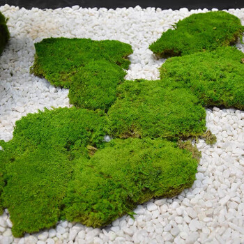 中式室内枯山水造景走廊过道玄关仿真绿植景观布置摆件 永生苔藓一盒