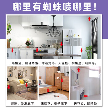 空消蜘蛛杀虫剂 天花板灭红黑蜘蛛药水车内驱虫蜘蛛灭防大长脚蜘蛛