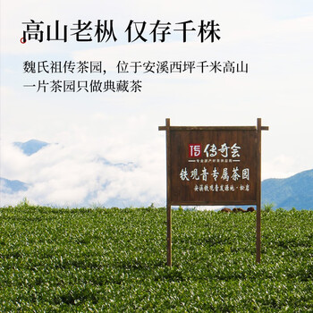 传奇会乌龙茶 安溪铁观音 浓香型特级250g茶叶2026新茶礼盒装自己喝送礼