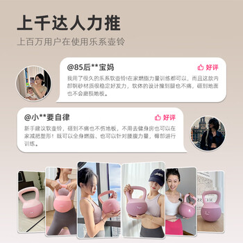 乐系（lexi）软壶铃女健身家用练臀软式壶铃运动力量训练提壶哑铃 6公斤粉色