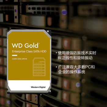 西部数据（WD）1TB 企业级机械硬盘 WD Gold 西数金盘 SATA 7200转128MB CMR垂直 服务器硬盘 3.5英寸WD1005VBYZ