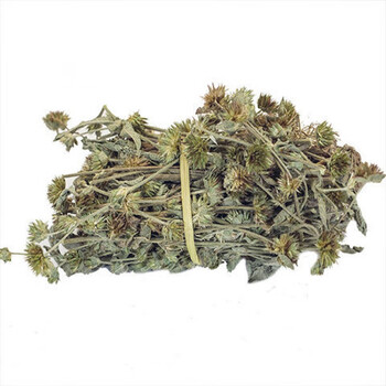 白花地胆头 地胆草苦地胆天芥菜鸡疴粘土柴胡客家煲汤料 白花地胆头