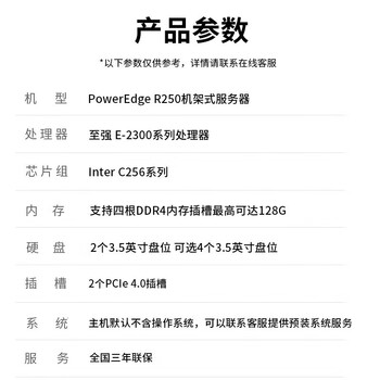 戴尔（DELL）R250机架式服务器文件共享存储R240升级款 E2378G八核32G/2*2T/H330/导轨