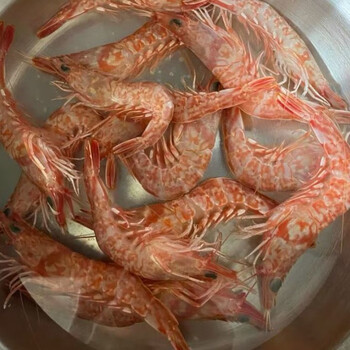 樱花虾厚壳虾海虾900g火焰虾玫瑰虾东山海捕红虾樱花虾鲜活 刺身白灼