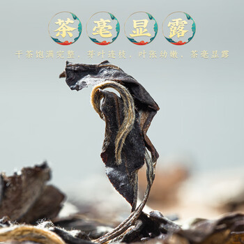 福茗源白茶 福鼎白茶寿眉500g 陈香2015年正宗老白茶叶礼盒端午节礼盒