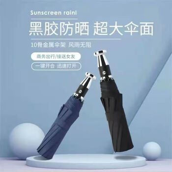 鲁凤来. 雨伞 全自动开合双人加大一键开收黑胶防晒10骨商务伞 (藏青色)