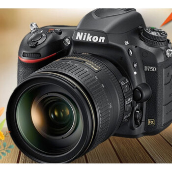 d850套机全画幅高清数码单反照相机d800 港版d750单机 套餐四