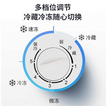 志高（CHIGO）单温冷柜 272升家用商用小型冰柜 微霜一级能效冷藏冷冻转换卧式冷冻柜   BD/BC-272DW
