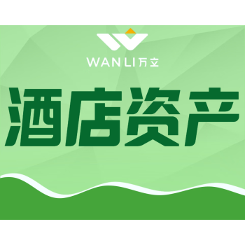 百色市田林某处酒店资产