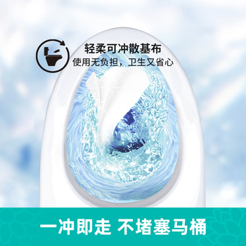 卫朴湿厕纸 家庭装40片*3包 痔疮可用杀菌抑菌私处可用 洁厕湿巾大包