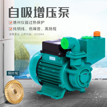 广东凌霄清水泵家用自吸泵高扬程220自来水管道自动增压泵抽水泵1db