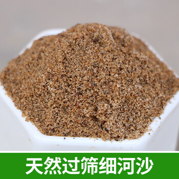 可狄河沙种菜营养土养花黄沙铺面中石子乌龟冬眠鱼缸种花颗粒多肉兰花
