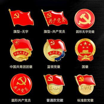 &标准型党徽中国共青团团徽胸章胸针别针为人民服务党徽党员徽章 中国