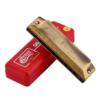 十孔布鲁斯口琴初学儿童自学入门c调升级10孔加厚蓝调演奏吹乐器 复古