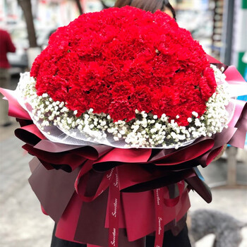 热带之恋鲜花速递母亲节99朵康乃馨花束送妈妈老婆长辈生日礼物全国