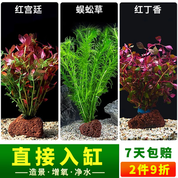 ZXZ水草用品- 京东