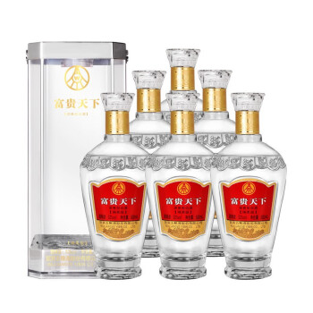 見事な 五粮液 中国酒 大成唐害 白酒 古酒 580ml 52度 その他 - tcsury.com