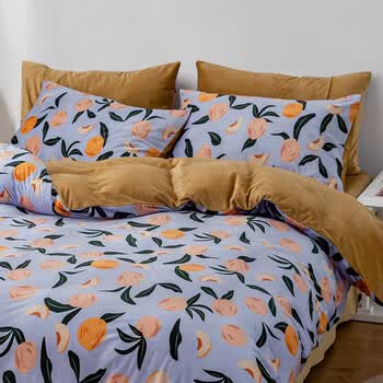 艾美家北欧暖绒加厚四件套秋冬季短绒床单被套床单被套珊瑚绒保暖浅