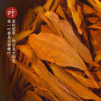 福茗源小种红茶正山 花香型2025新茶500g(125g*4罐)茶叶礼盒茶叶自己喝