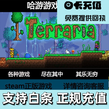 Steam Pc正版terraria 泰拉瑞亚多人联机支持代充豪华版其他 图片价格品牌报价 京东