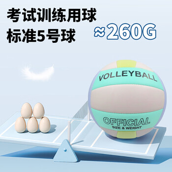 凯威（CAMEWIN）排球5号中考学生机缝PVC沙滩加厚马卡龙色硬排比赛训练五号软排球