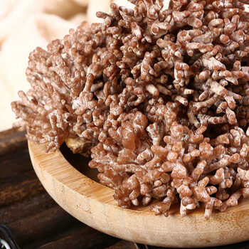 【新鲜龙爪菇1斤】云南当季时令山珍菌类蔬菜蘑菇菌煲汤火锅 新鲜龙爪