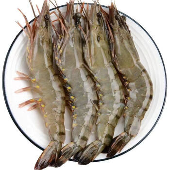 好物推荐鲜美惊越南黑虎虾海捕大虾特大对虾草虾九节虾基围虾斑节虾特