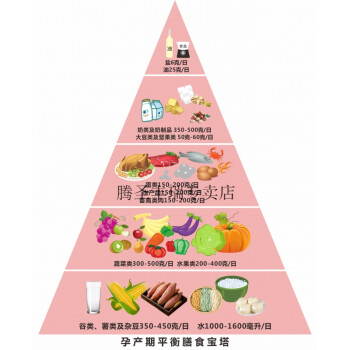 金字塔中國居民平衡膳食寶塔營養指導食物交換份教學模型仿真醫孕產期