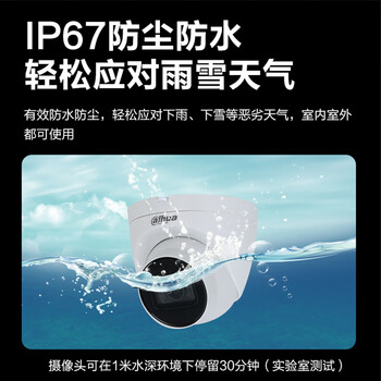 dahua大华800万星光半球摄像头POE网线供电区域入侵室内录音监控DH-IPC-HDW4843T-A-3.6mm dahua大华800万星光半球摄像头POE网线供电区域入侵室内录音监控DH-IPC-HDW4843T-A-3.6mm