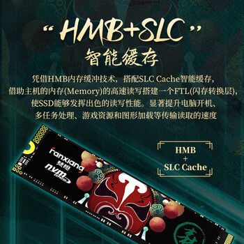梵想（FANXIANG）2TB SSD固态硬盘 M.2接口NVMe协议PCIe 4.0x4 TLC颗粒 电脑PS5游戏扩展盘适配黑神话悟空 S790