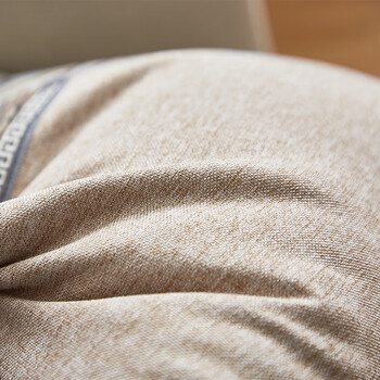 恒源祥 纯色花边抱枕套办公室汽车家用靠枕芯套午睡枕套 45x45cm 恒源祥 纯色花边抱枕套办公室汽车家用靠枕芯套午睡枕套 45x45cm