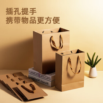 得力（deli）250g牛皮纸袋手提袋档案袋 过年礼品袋礼物包装袋生日礼物伴手礼送礼品袋子 LQ709